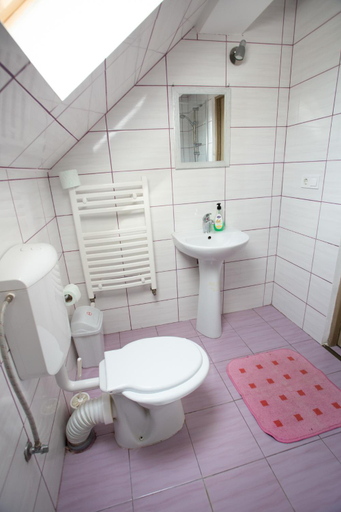 Bathroom 4, Pensiunea Poarta Apusenilor, Moldovenesti