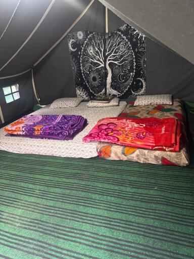 5, Apple Garden , Kullu