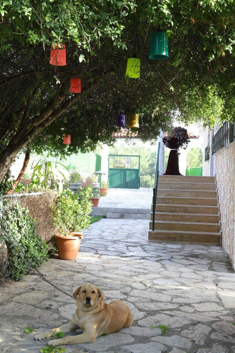 Property grounds 2, Köyüm Konak, Bornova