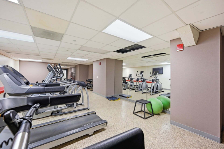 Gym 3, 2 BR Iconic Detroit High-Rise Loft, Wayne