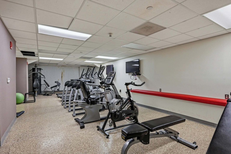 Gym 5, 2 BR Iconic Detroit High-Rise Loft, Wayne