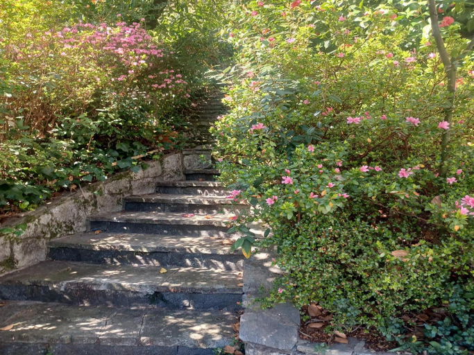 Garden 5, Villa in Valdora with Lake Maggiore Views, Verbano-Cusio-Ossola