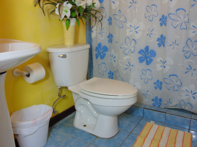 Bathroom 3, CASA LIMA BED & BREAKFAST, San José