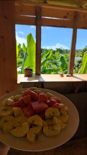 Food & Drinks 4, Hostel La Ballena Backpacker, Santa Bárbara de Samaná
