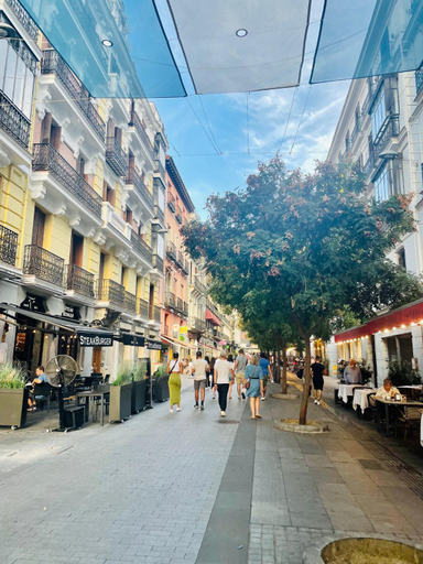Others 4, Apartments in Madrid, Madrid