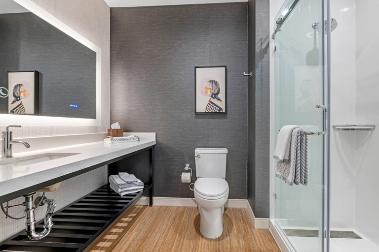 Room 4, Cambria Hotel Jacksonville, Duval