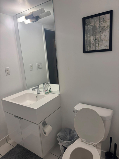 Bathroom, Dan Leckie Apartments, Toronto