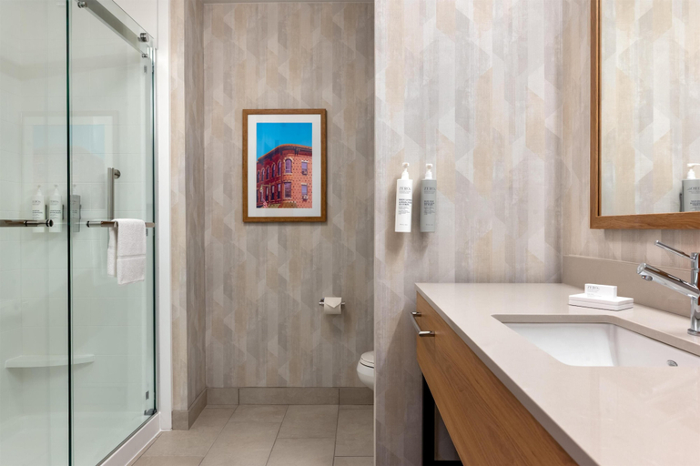 Bathroom 5, Hampton Inn & Suites Rockland, Knox