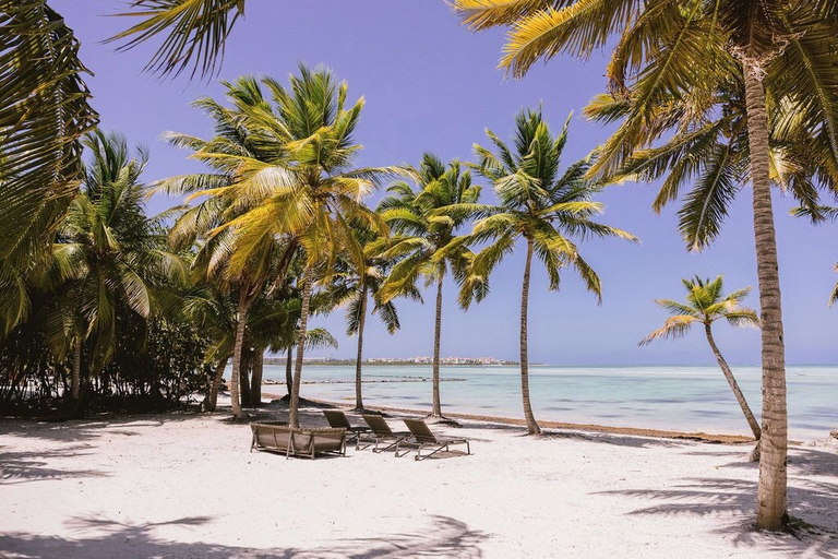 Beach 4, Luxurious Villa Private Beach Juanillo, Salvaleon de Higuey