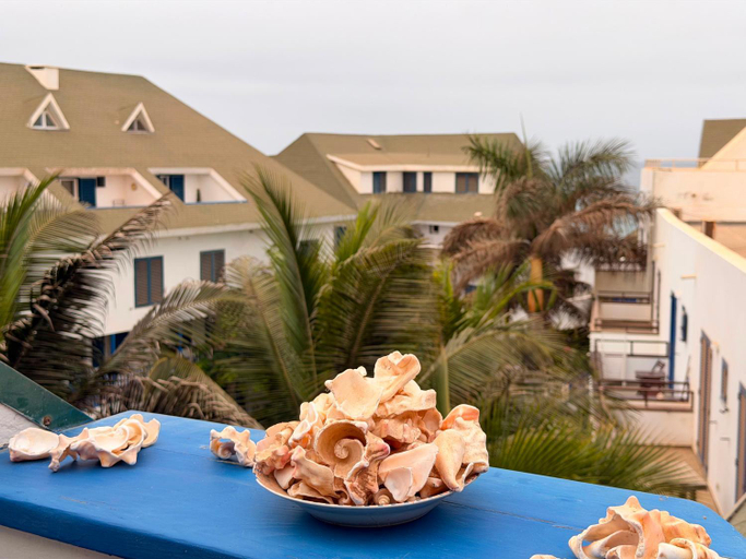 Food & Drinks, Leme Bedje Two bedroom - By Bobbywashere