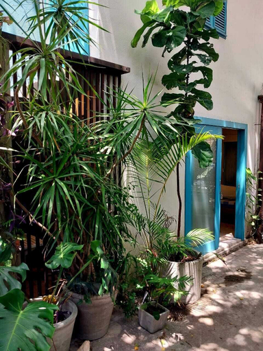 Exterior & Views, Residencial Casa Flor Atelier Botânico, Ponta Negra, Natal