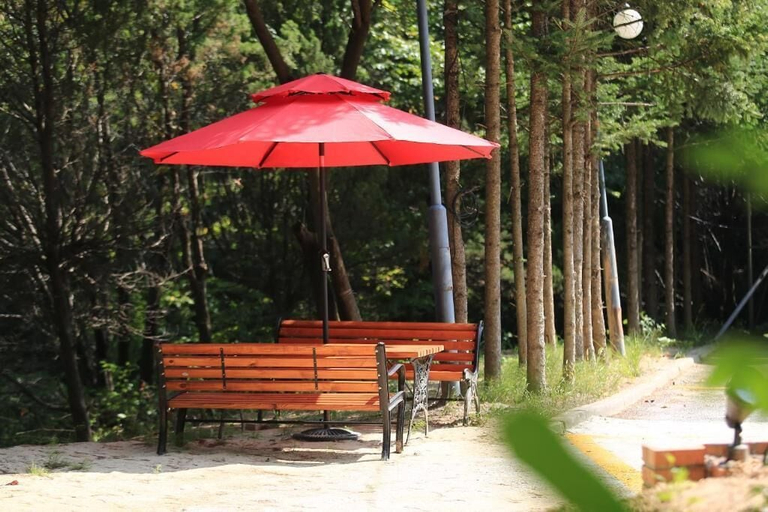 Property grounds, Hillhouse Hotel, Pocheon