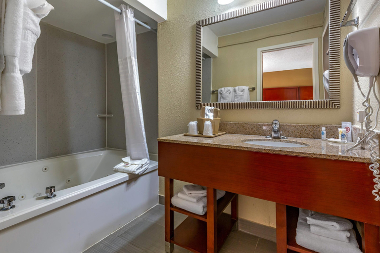 Bathroom 4, Comfort Inn Fort Mill Amusement Park at Carowinds Blvd, York