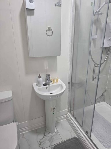 Bathroom 2, Shamrock Quay