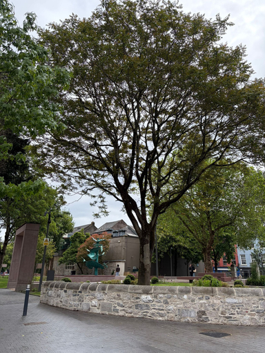 Miscellaneous, Shamrock Quay