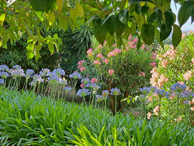 Others 2, Bed and Breakfast with a View & Pool Bastide de Marie Grasse, Alpes-Maritimes