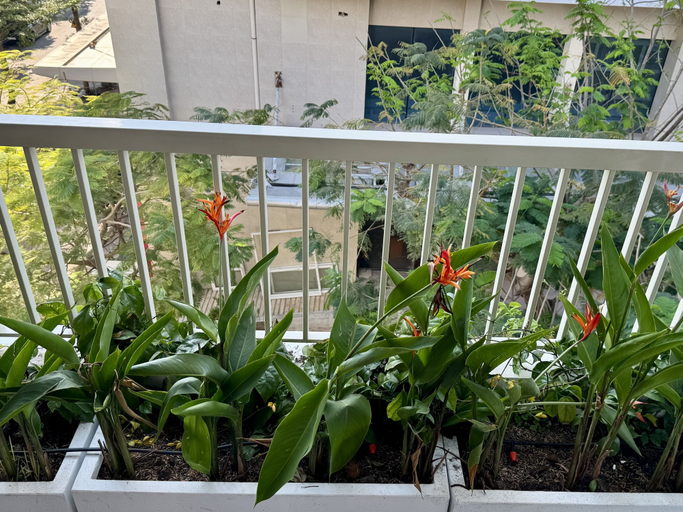 Property grounds 5, Han House's Apartment 2, Da Nang