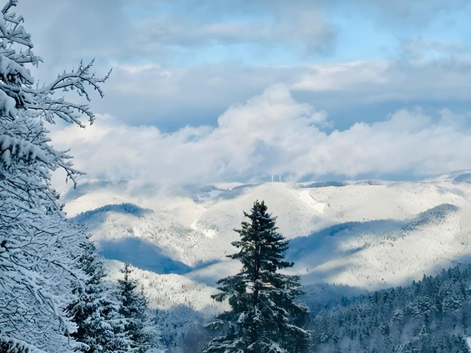 Others 2, Schwarzwalduhren Nescht Triberg, Schwarzwald-Baar-Kreis
