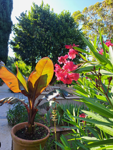 Others 5, Bed and Breakfast with a View & Pool Bastide de Marie Grasse, Alpes-Maritimes