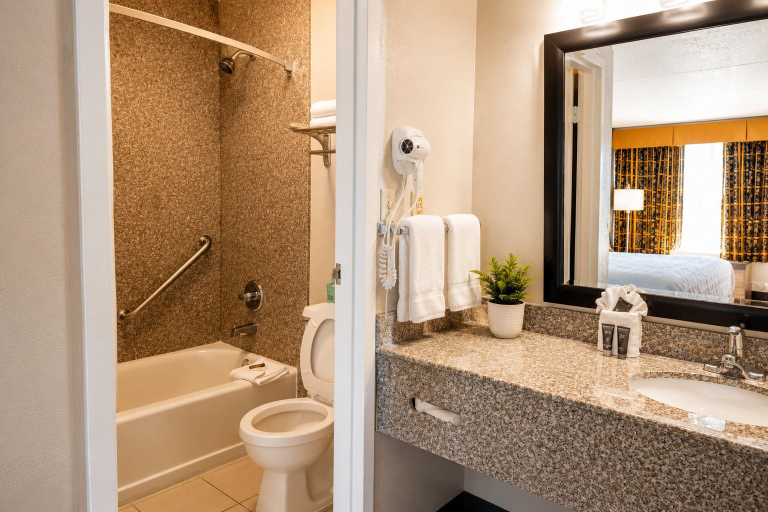 Bathroom 5, Chattanooga Heritage Inn, Hamilton