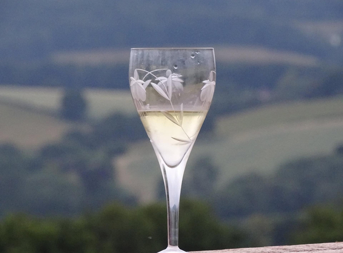 Food & Drinks, 3 Guests - Pet Friendly - Grid Tree-house, Gloucestershire