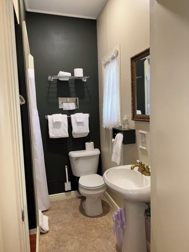 Bathroom 4, The Boho Buffalo Inn, Johnson