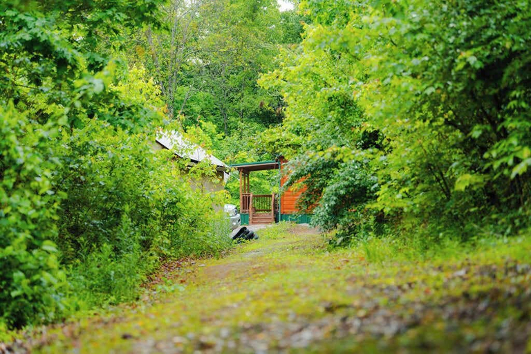 Property grounds 2, Deer Run Retreat Villa, Gallia