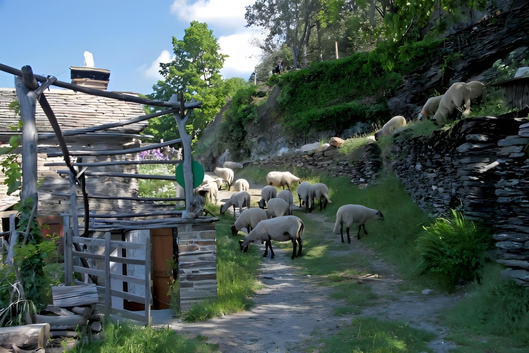 Exterior view 5, Chambres Et Table D'hotes De Vernet, Lozère