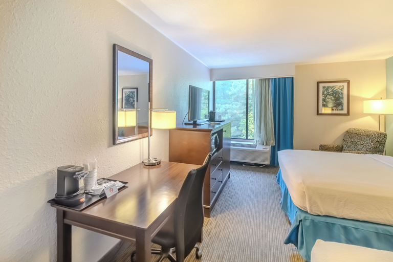 Room 3, Quality Inn & Suites, Williamsburg