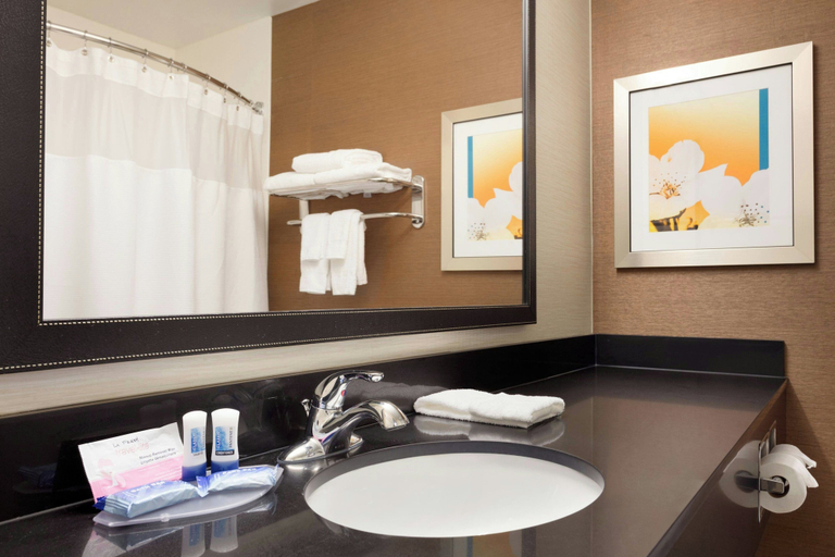 Bathroom 4, Fairfield Inn & Suites Waco South, McLennan