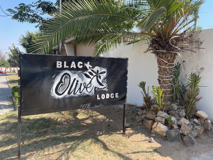 Property grounds, Black Olive Lodge, Lusaka