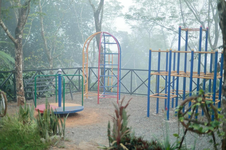5, Zadokz Farmstay, Wayanad