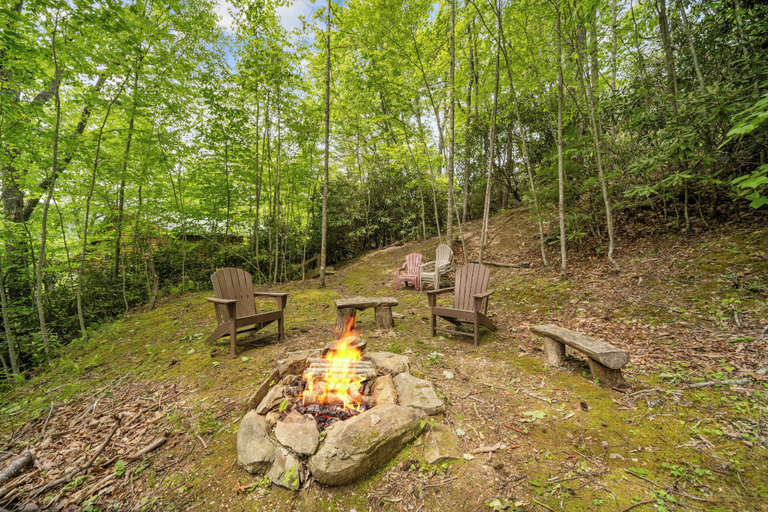 Interior 3, Appalachian Satisfaction, Watauga