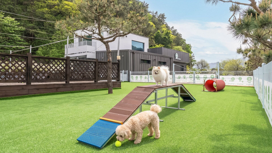 Exterior & Views 2, Gapyeong Dangdangi Pet Poolvilla Blue, Gapyeong