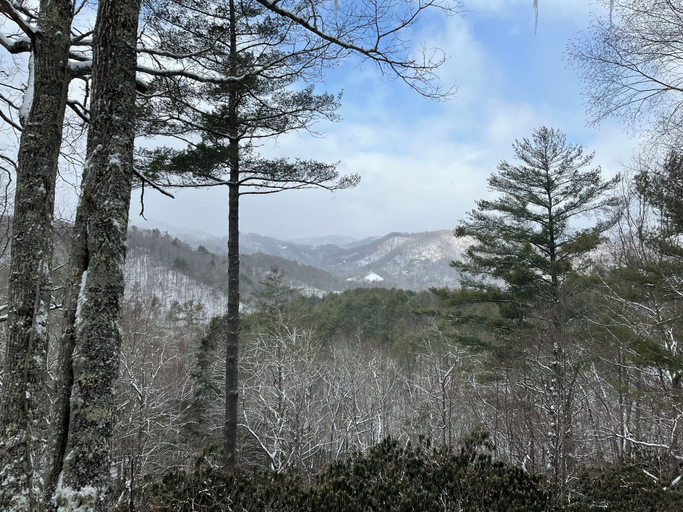 Interior 4, Appalachian Satisfaction, Watauga