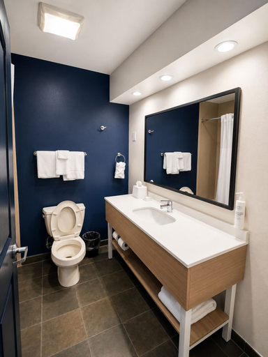 Bathroom 5, Spark by Hilton Lake George Outlets, Warren