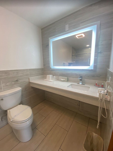 Bathroom 2, Econolodge inn and suites, Dougherty