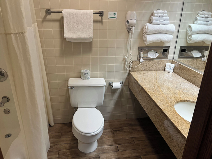 Bathroom, Pere Marquette Lodge & Conference Ctr., Jerseyville
