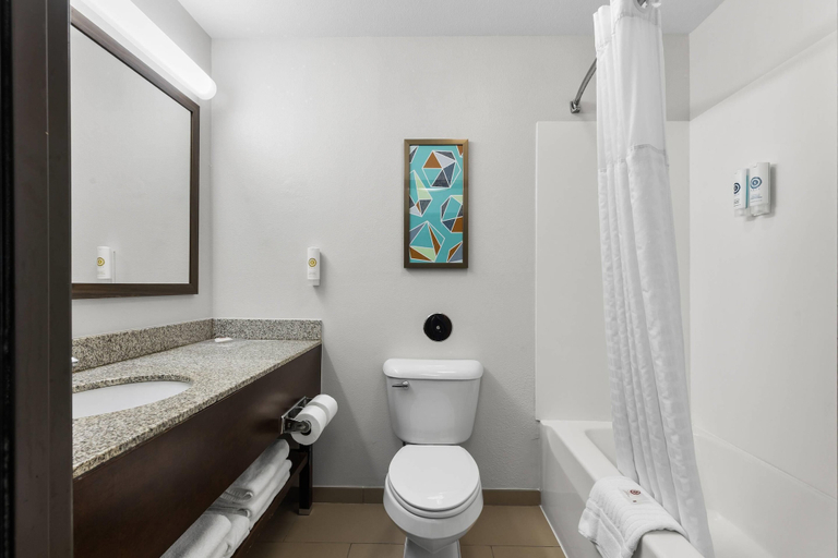Bathroom 4, Comfort Inn & Suites Marion I-57, Williamson
