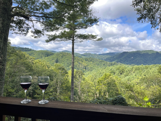 Primary image, Appalachian Satisfaction, Watauga