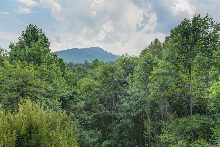 Interior 4, Peace at Echota, Watauga