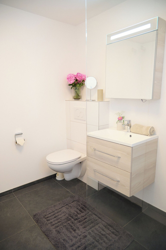 Bathroom 4, Villa Rebgarten, Bregenz