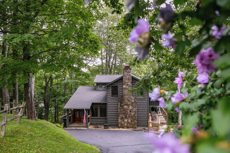 Interior 3, Appaljack Retreat, Watauga