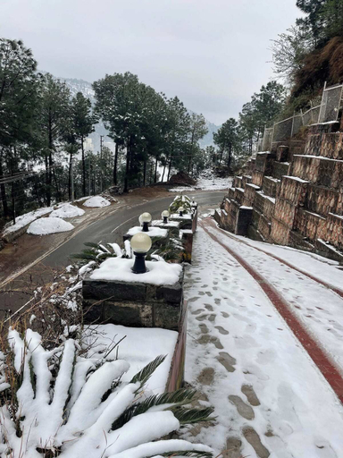 Property grounds 5, Rustic Pines, Solan