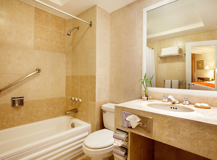 Bathroom 4, Hotel Geneve Mexico City, Mexico City