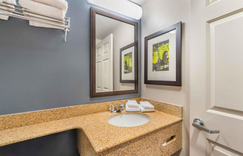 Bathroom 5, Extended Stay America Suites Chesapeake Greenbrier Circle, Chesapeake