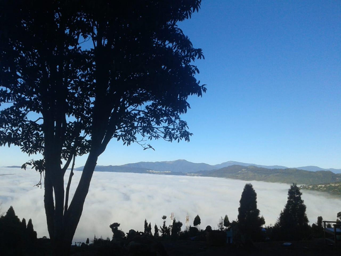 4, Vamoose Kunga Delek, Darjiling