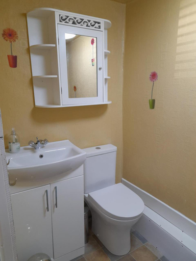 Bathroom 3, Globe Guesthouse, Carmarthenshire