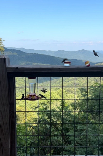 Interior 5, Owls Nest, Caldwell