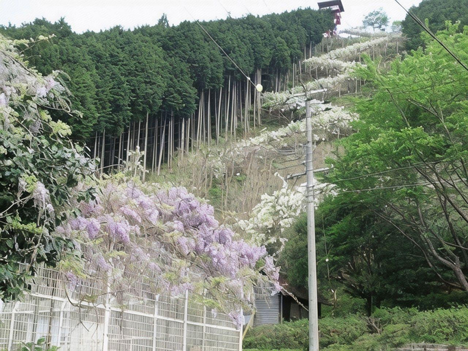 Others 5, Miyama Onsen Aitokuso, Hidakagawa